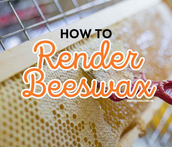 How To Render Beeswax