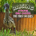 Raising Strong Emu Chicks The First 90 Days