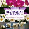 Bee Habitat Plants by Bloom Season