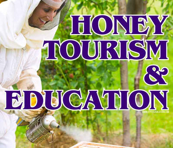 Honey Tourism and Educational Programs