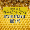 Vital Role of Worker Honey Bees to the Hive