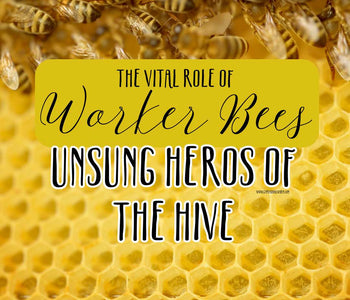 Vital Role of Worker Honey Bees to the Hive