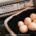 Ayam Cemani Hatching Eggs For Sale breeder hatchery gypsy shoals farm basket