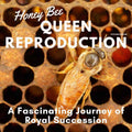 Honey Bee Queen Reproduction: A Fascinating Journey of Royal Succession