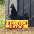 How to Predator Proof Your Backyard Chicken Coop