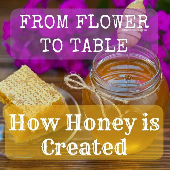 how-honey-is-made-from-flower-to-table