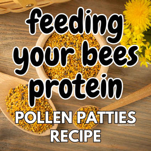 Feeding Your Bees Protein: Pollen Patty Recipe
