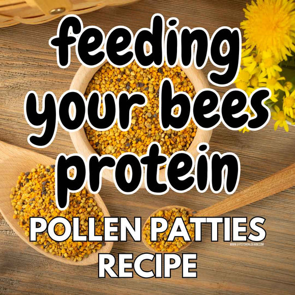 bee nutition pollen patty recipe