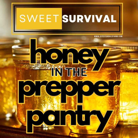 the-power-of-honey-survival-preparedness