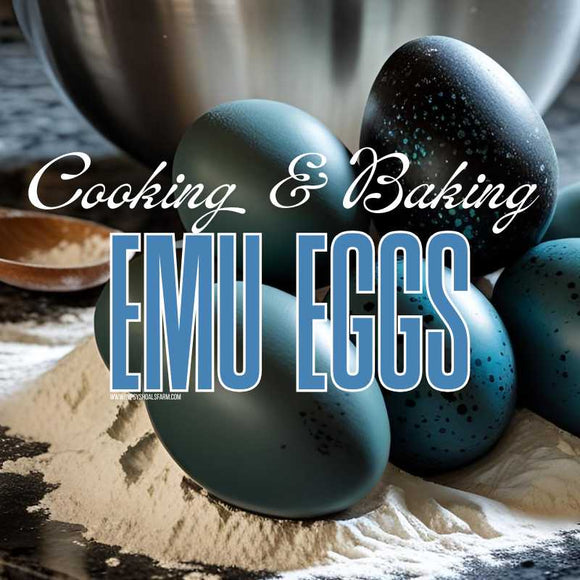 cooking-baking-with-emu-eggs