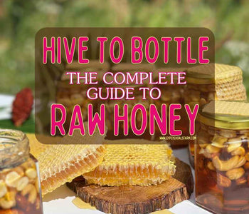 The Complete Guide To Raw Honey: Hive to Bottle