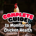 Complete Guide to Monitoring Chicken Health at Home