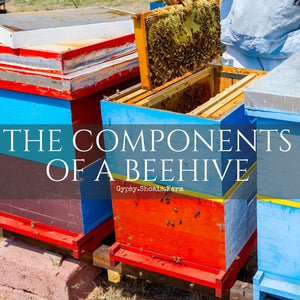 The Components of a Bee Hive & Their Functions for the Colony