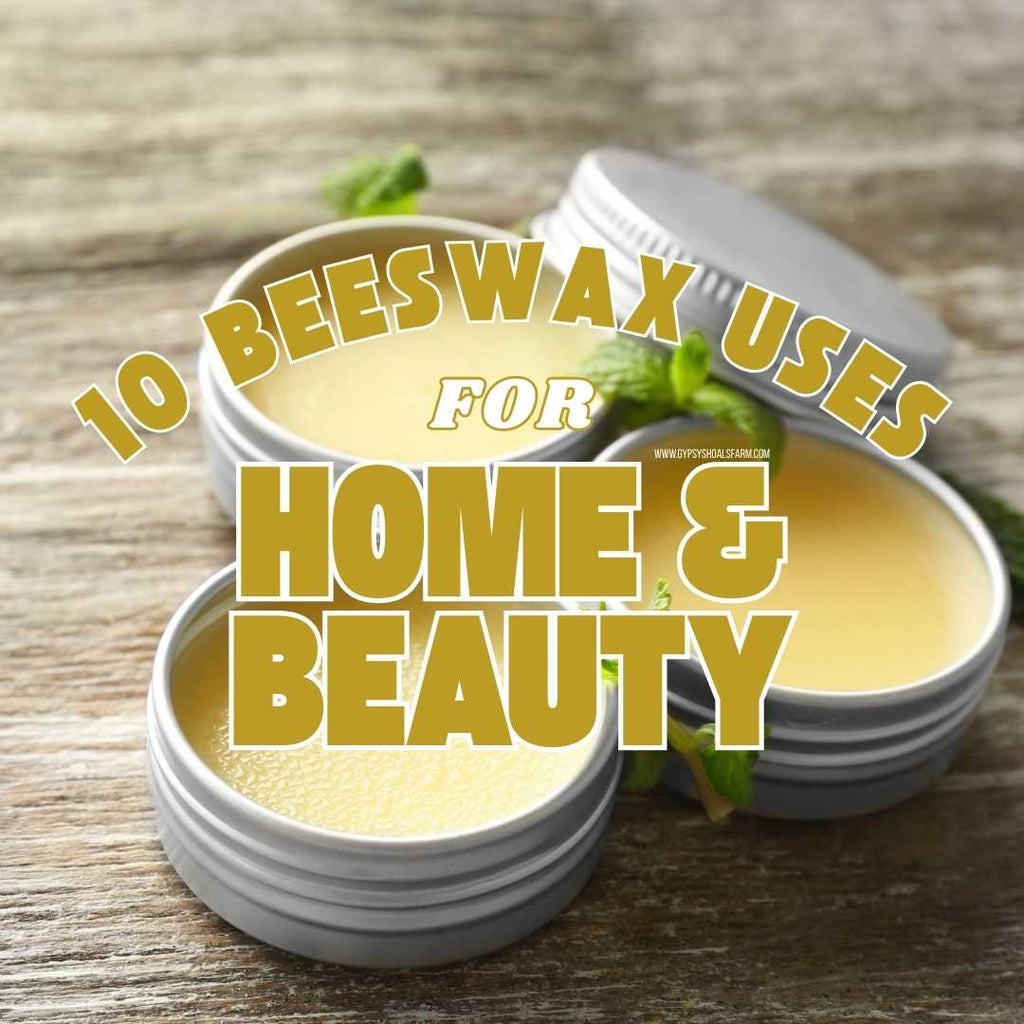 Ten Beeswax Uses for Natural Beauty and a Healthier Home