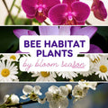 Bee Habitat Plants by Bloom Season