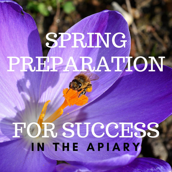 beekeeping ed spring prep for success in the apiary