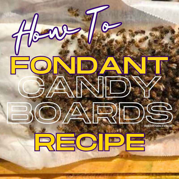 how to make fondant sugar candy boards for honeybees