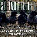 Spraddle Leg | Causes, Prevention & Treatment