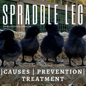 Spraddle Leg | Causes, Prevention & Treatment