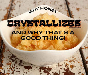 Why Honey Crystallizes