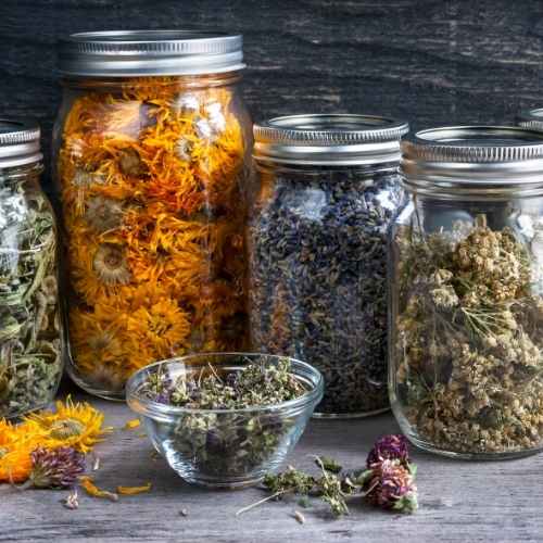 gypsy-shoals-farm-herbal-medicine-collection