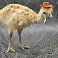 gypsy-shoals-farm-blonde-emu-chick-in-cowboy-hat