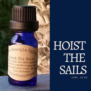 Hoist The Sales georgia gypsy crystal infused energy reiki charged mood lifting essential oil blend