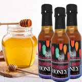 buy 3 and save pure raw wildflower honey USA gypsy shoals farm